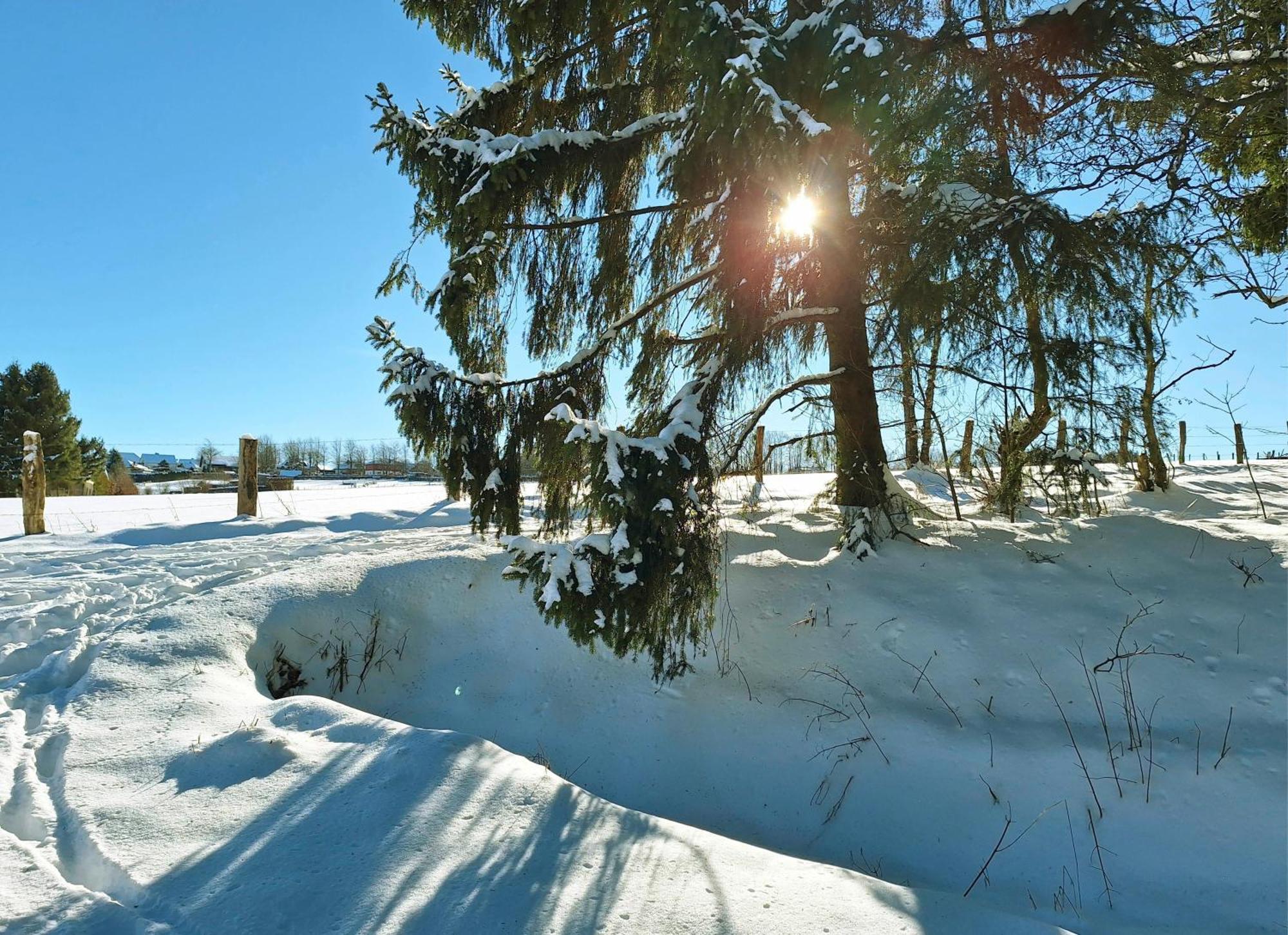 Ferienhaus Am Nationalpark Eifel Dreiborn Zewnętrze zdjęcie
